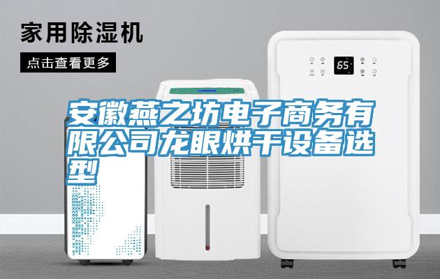 安徽燕之坊電子商務(wù)有限公司龍眼烘干設(shè)備選型