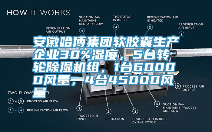 安徽哈博集團(tuán)軟膠囊生產(chǎn)企業(yè)30%濕度，5臺(tái)轉(zhuǎn)輪除濕機(jī)組，1臺(tái)60000風(fēng)量，4臺(tái)45000風(fēng)量