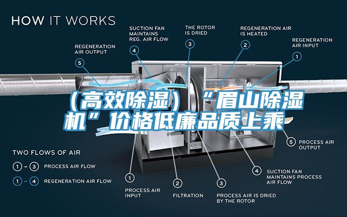 （高效除濕）“眉山除濕機”價格低廉品質(zhì)上乘