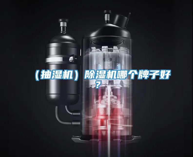 （抽濕機）除濕機哪個牌子好？